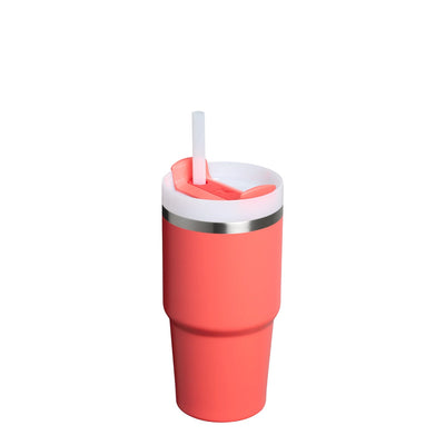 The Quencher H2.0 FlowState™ Tumbler | 0.6L