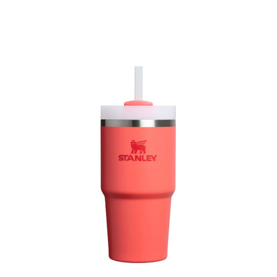 The Quencher H2.0 FlowState™ Tumbler | 0.6L