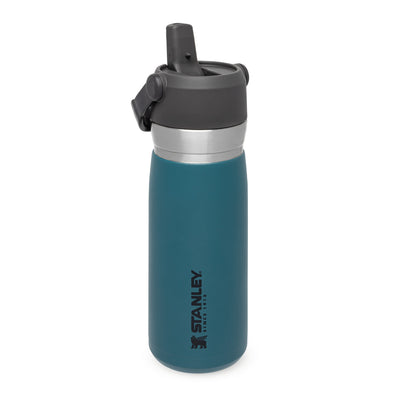 Stanley Go Flip Straw Water Bottle | 0.65L