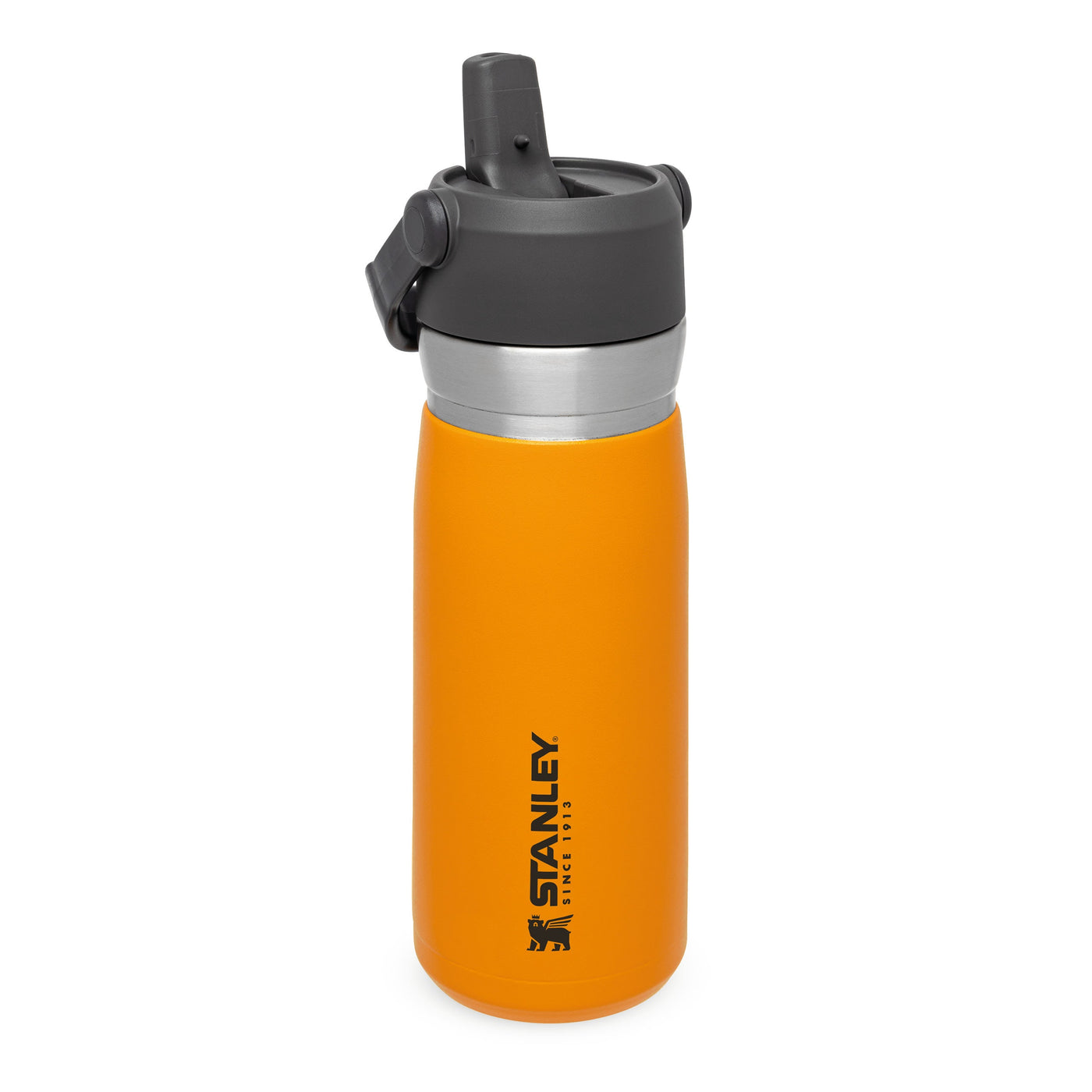 Stanley Go Flip Straw Water Bottle | 0.65L