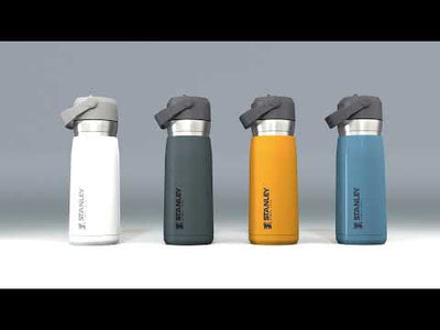 Stanley Go Flip Straw Water Bottle | 0.65L